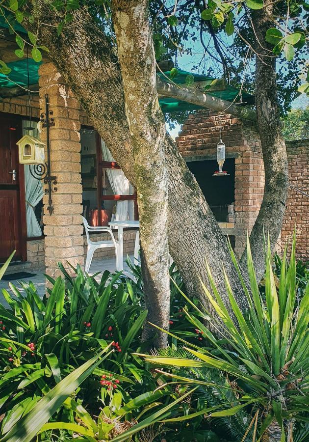 Bibi Ellipsis Holiday home Knysna